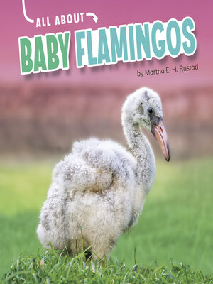 cover image of All About Baby Flamingos